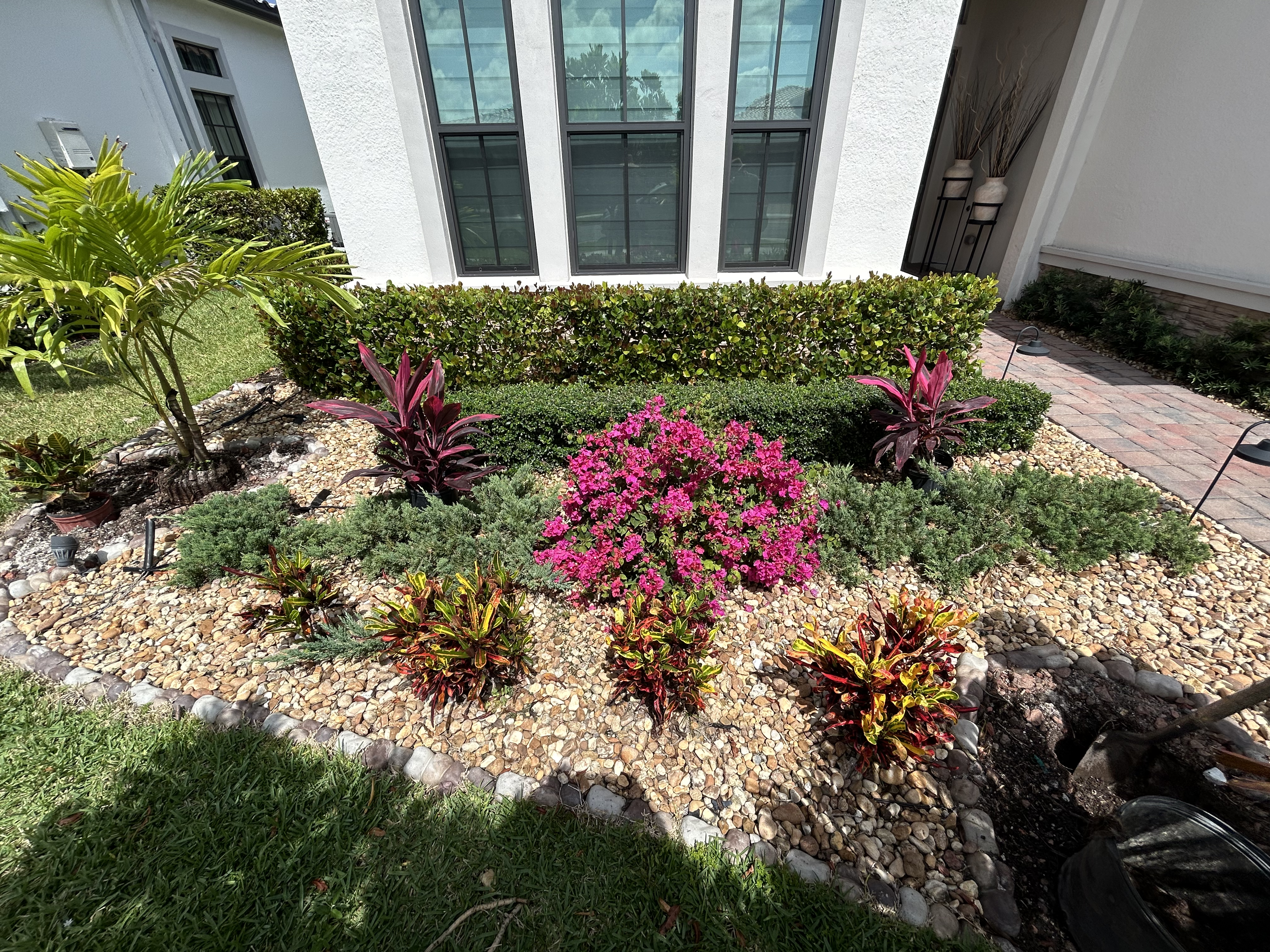 Plant It Earth front yard with bougainvillea, crotons and decorative rock
