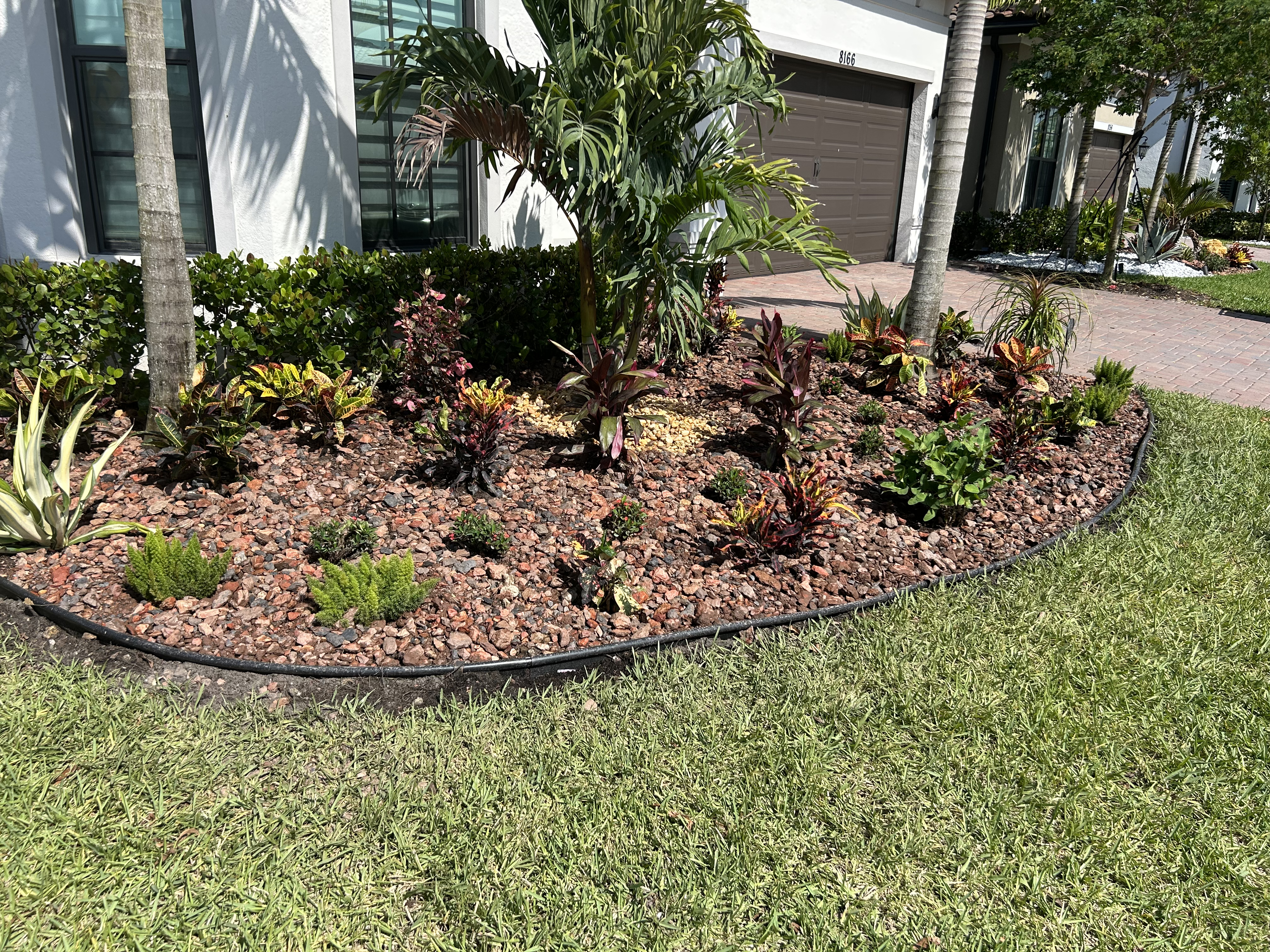 Plant It Earth front yard with tropical plants and lava rock bed